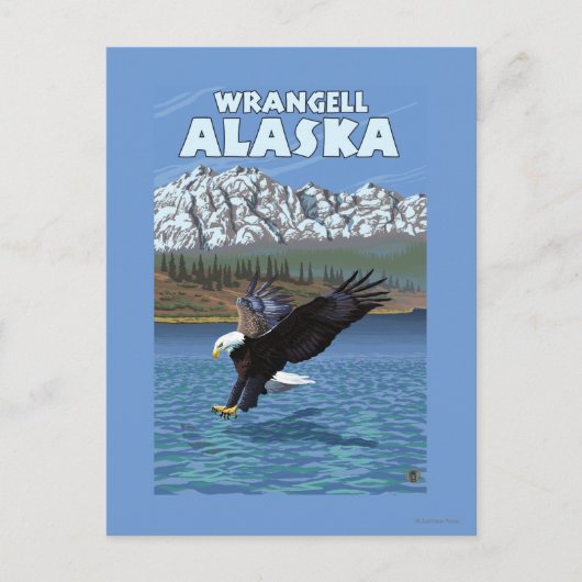 Bald Eagle Diving - Wrangell, Alaska Briefkaart (Voorkant)
