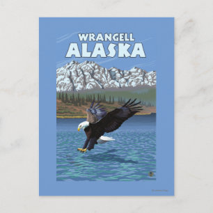 Bald Eagle Diving - Wrangell, Alaska Briefkaart