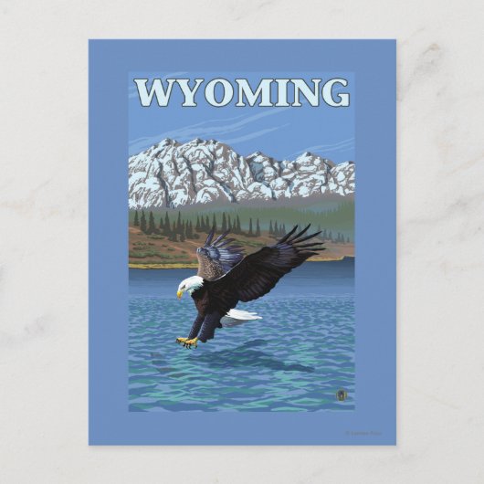 Bald Eagle Diving - Wyoming Briefkaart (Voorkant)