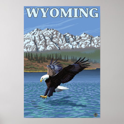 Bald Eagle Diving - Wyoming Poster (Voorkant)
