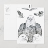 Bald Eagle Drawing Briefkaart (Voorkant / Achterkant)