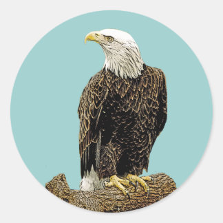 Bald Eagle Drawing Ronde Sticker