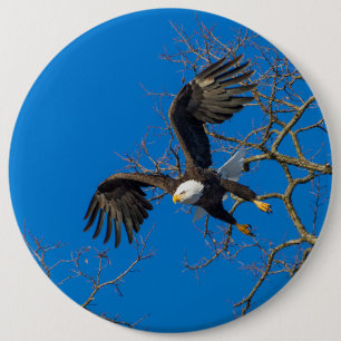 Bald Eagle Drop Ronde Button 6,0 Cm