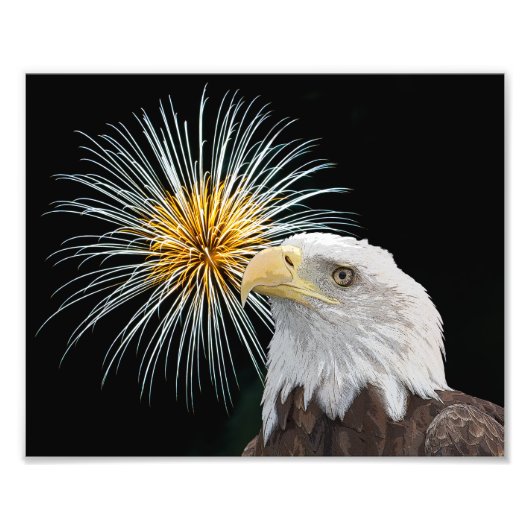 Bald Eagle en Fireworks Foto Afdruk (Voorkant)