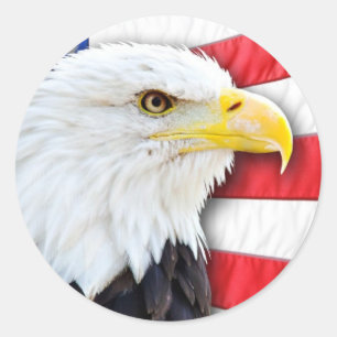 Bald Eagle en Flag Ronde Sticker