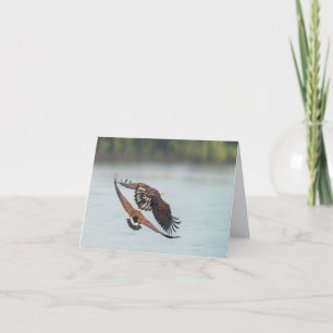 Bald Eagle en Goose Wildlife Blank Alle gelegenhed Feestdagen Kaart