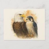 Bald Eagle en Peregrine Falcon Wildlife Art Briefkaart (Voorkant)
