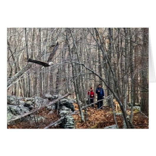 Bald Eagle Encounter (Voorkant Horizontaal)