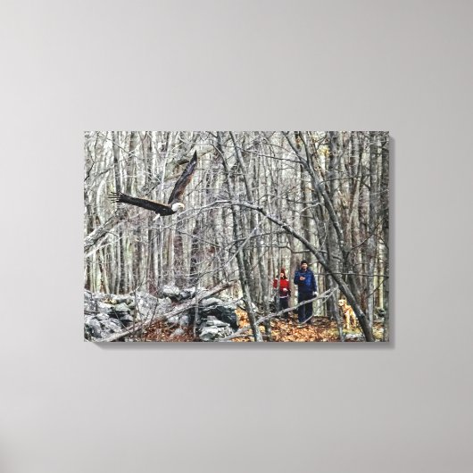 Bald Eagle Encounter Canvas Afdruk (Voorkant)
