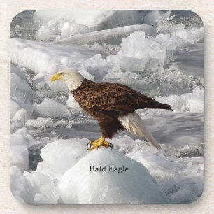 Bald Eagle ensemble de 6 dessous de verre en plast