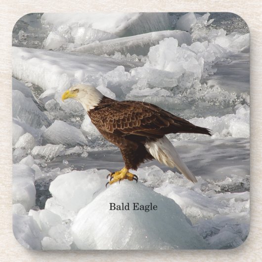 Bald Eagle ensemble de 6 dessous de verre en plast (Devant)