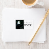 Bald Eagle Etiket (Insitu)