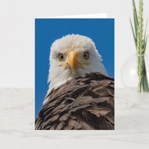 Bald Eagle Eyes Hartelijk dank Bedankkaart