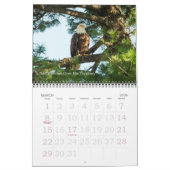 Bald Eagle Familie van Vier Kalender (Mar 2026)