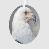 Bald Eagle Familienaam Ornament (voorkant)