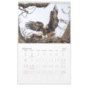 Bald Eagle Family Agenda Kalender (Feb 2026)
