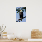 Bald Eagle Fine Art Prints (Keuken)