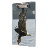 Bald Eagle Fish Retrieval Klembord (Links)