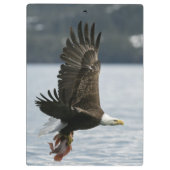 Bald Eagle Fish Retrieval Klembord (Achterkant)