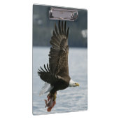 Bald Eagle Fish Retrieval Klembord (Rechts)