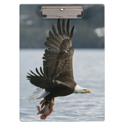 Bald Eagle Fish Retrieval Klembord (Voorkant)