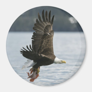 Bald Eagle Fish Retrieval Magneet