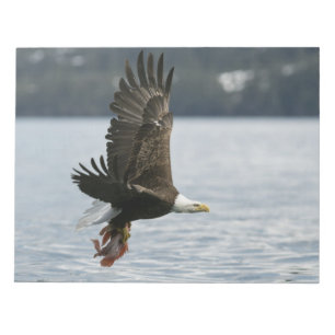 Bald Eagle Fish Retrieval Notitieblok