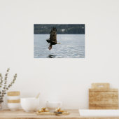 Bald Eagle Fish Retrieval Poster (Keuken)