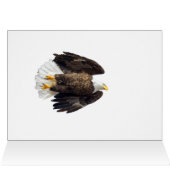 Bald Eagle Flash (Binnen Horizontaal (Boven))