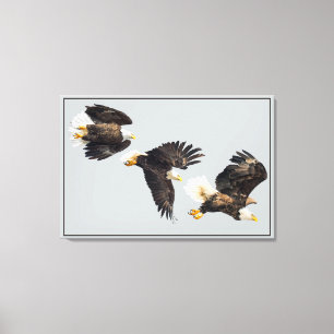 Bald Eagle Flight Canvas Afdruk
