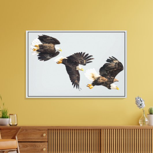 Bald Eagle Flight Canvas Afdruk (Insitu (Woonkamer))