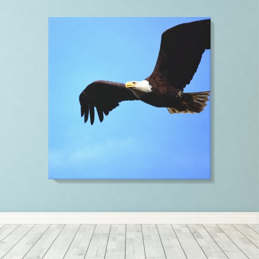 Bald Eagle Flight Portret Canvas Afdruk (Insitu (Houten vloer))