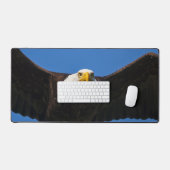 Bald Eagle Flyby Up Close (Clavier et souris)