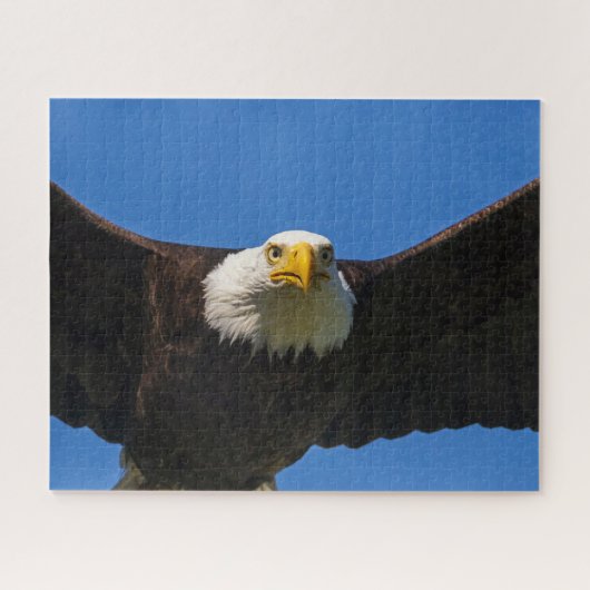 Bald Eagle Flyby Up Close Legpuzzel (Horizontaal)