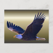 Bald Eagle Flying Briefkaart (Voorkant)
