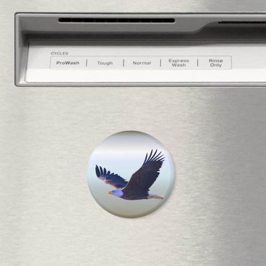 Bald Eagle Flying Magneet (Insitu (Vaatwasser))
