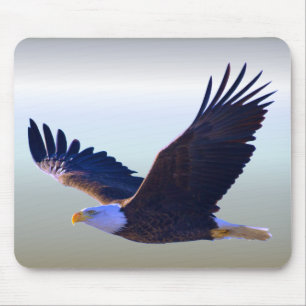 Bald Eagle Flying Muismat