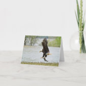 Bald Eagle Folded Card Kaart (Voorkant)