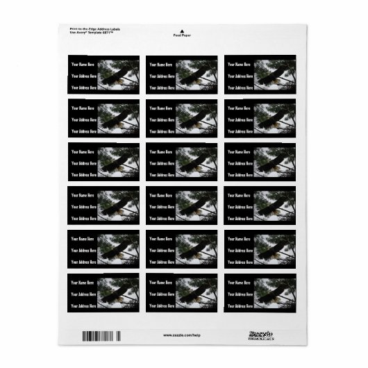 Bald Eagle Foto Etiket (Full Sheet)