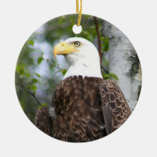 Bald Eagle-fotografie met bijbelversie Keramisch Ornament