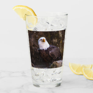 Bald Eagle Glas