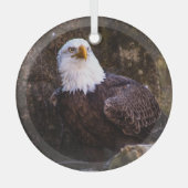 Bald Eagle Glas Ornament (Voorkant)