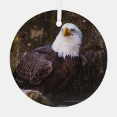 Bald Eagle Glas Ornament (Achterkant)