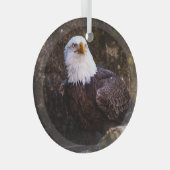 Bald Eagle Glas Ornament (Voorkant Rechts)