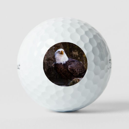 Bald Eagle Golfballen (Voorkant)
