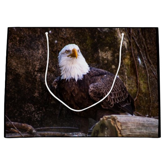 Bald Eagle Groot Cadeauzakje (Voorkant)
