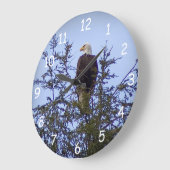 Bald Eagle Grote Klok (Hoek)