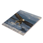 Bald Eagle, Haliaeetus leucocephalus, Homer, 3 Tegeltje (Zijkant)