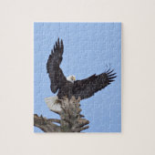 Bald Eagle (Haliaeetus leucocephalus) met vleugels Legpuzzel (Verticaal)