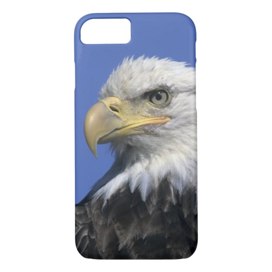 Bald Eagle (Haliaeetus leucocephalus), wild, Case-Mate iPhone Case (Achterkant)